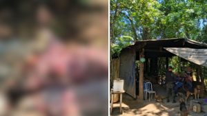 Armas e animal abatido são apreendidos durante operação ambiental em Itapira