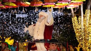 Natal Mágico de Holambra começa neste sábado (22); confira a programação