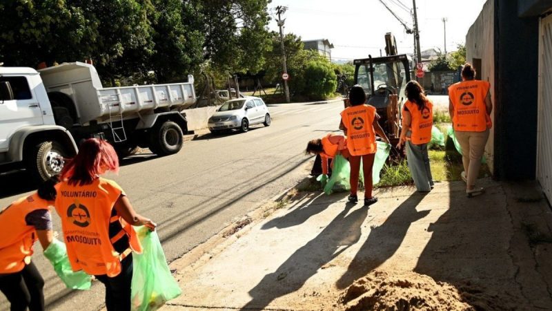 Campinas tem 23 bairros com alto risco de transmissão de dengue; veja quais são