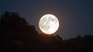 Superlua mais brilhante do ano poderá ser vista no Brasil nesta quarta (5)