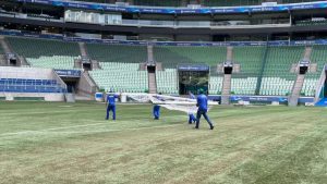 Flamengo envia proposta à CBF e pede o fim do gramado sintético no Brasil; Palmeiras rebate