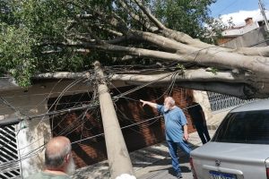 Vendaval causa apagão em SP. Foto: Arquivo Pessoal / Região Sacomã SP