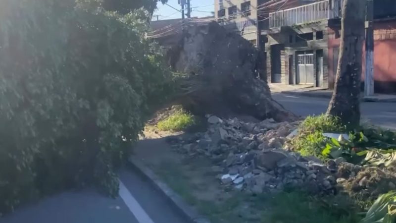 Ciclone extratropical provoca ventania e deixa rastro de danos no litoral de SP