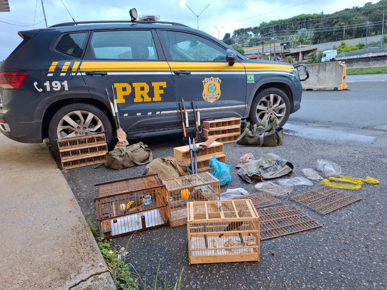 Homem é autuado pela 9ª vez por crime ambiental contra aves silvestre em Atibaia