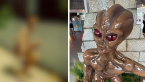 Exército revela foto do "ET de Varginha"; veja o relatório na íntegra
