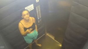 Corpo de corretora desaparecida é encontrado em mata; relembre a história