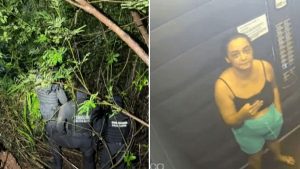 caso Daiane Alves de Souza, Homem confessa assassinato de corretora; filho também é preso