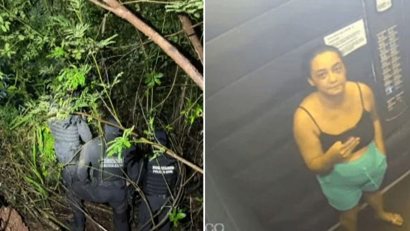caso Daiane Alves de Souza, Homem confessa assassinato de corretora; filho também é preso
