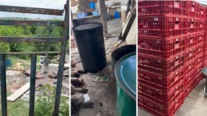 Matadouro clandestino é fechado em Hortolândia com quatro toneladas de carne