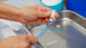 Volta às aulas acende alerta para vacinas atrasadas entre crianças. Foto: Reprodução