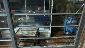 PM prende homem suspeito de furtar joalheria no centro de Perdões