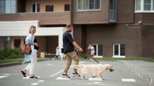 Papo de Síndico: regras de pets nos prédios