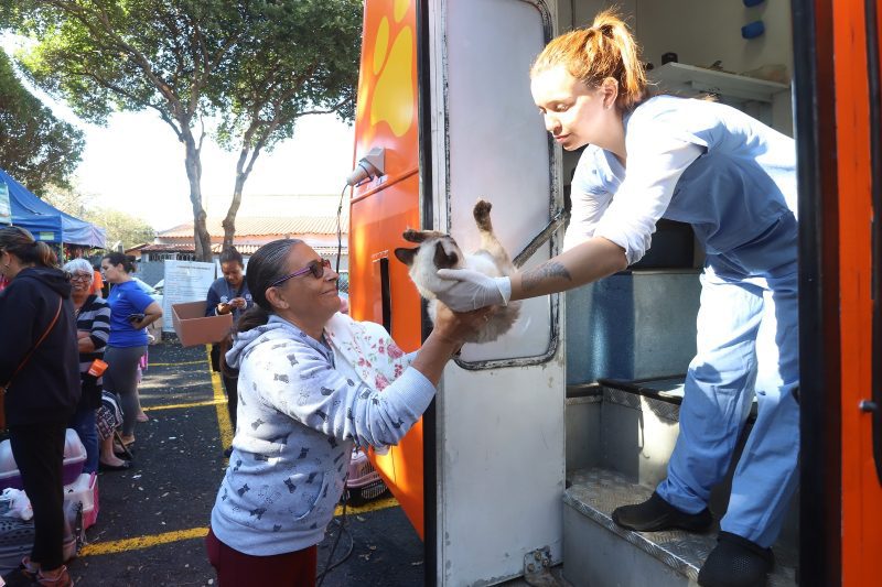 Campinas expande programa e aumenta em 50% castrações de cães e gatos