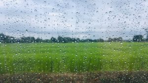 O novo mapa climático pode redefinir o agro brasileiro em 2026