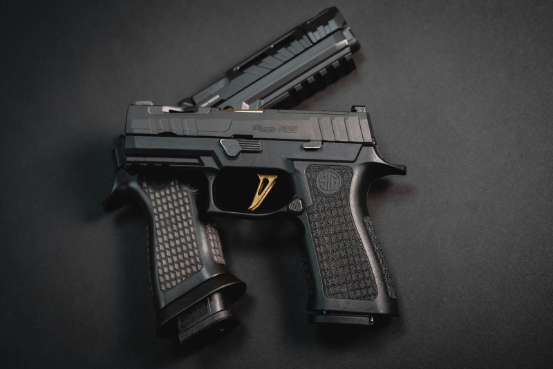 nova lei aprovação de primeira arma de fogo