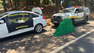 Polícia apreende mais de 350 kg de drogas em rodovias do interior de SP