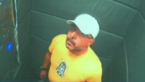 Justiça nega devolução de cachorro agredido por tutor em elevador de Praia Grande, litoral de São Paulo.