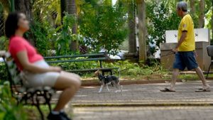 Parque para pets