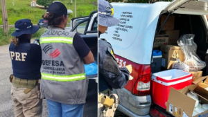 Fiscalização de produtos de origem animal apreendidos na Rodovia Fernão Dias em Bragança Paulista.