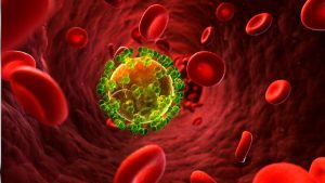 Paciente de 63 anos atinge remissão do HIV após transplante de medula óssea inédito entre irmãos.