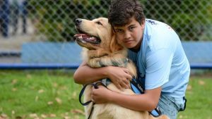 Criança autista em sessão de terapia assistida por animais para desenvolvimento social e afetivo.