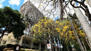 abre e fecha em campinas no dia do trabalho