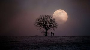 Lua Rosa brilhando intensamente no céu noturno durante a primeira Lua Cheia do outono na astronomia.
