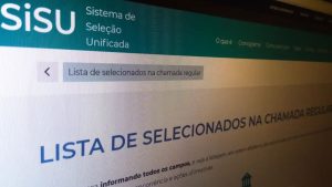 Sisu