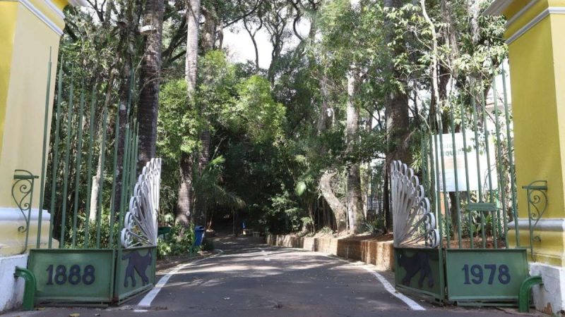 Círculo reflexivo Territórios em Alerta sobre racismo ambiental e impactos da crise climática em Campinas.