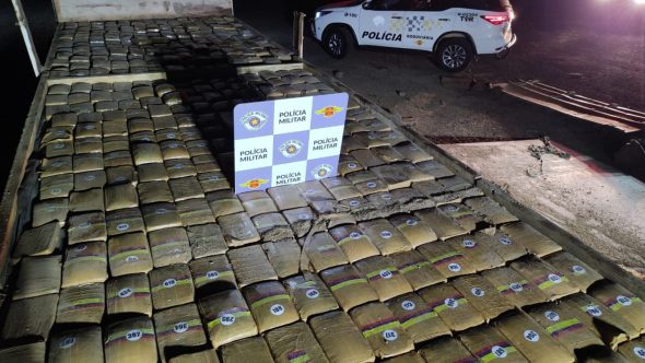 Polícia prende skunk no interior de SP (Foto: Reprodução / PM)