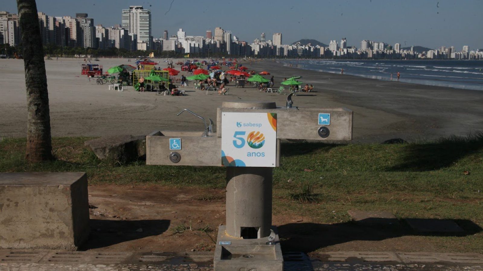 CARLOS NOGUEIRA_9520