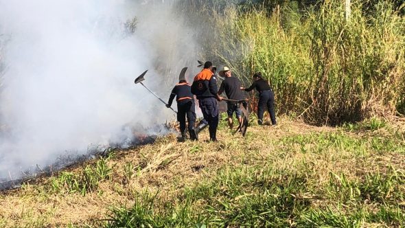 Homem é detido após admitir ter ateado fogo em área de mata de Bragança Paulista (Foto: Reprodução / SECOM)