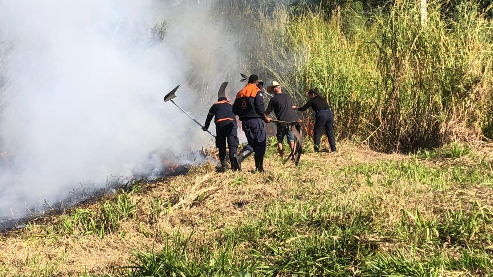 Homem é detido após admitir ter ateado fogo em área de mata de Bragança Paulista (Foto: Reprodução / SECOM)