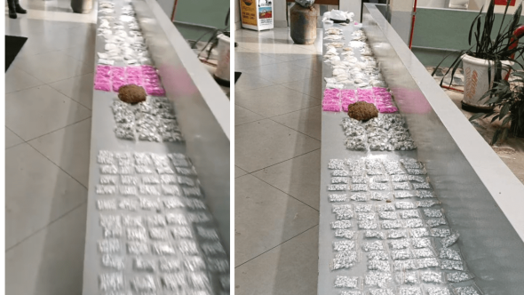 Drogas apreendidas em Águas de Lindóia (Foto: Reprodução / PM)