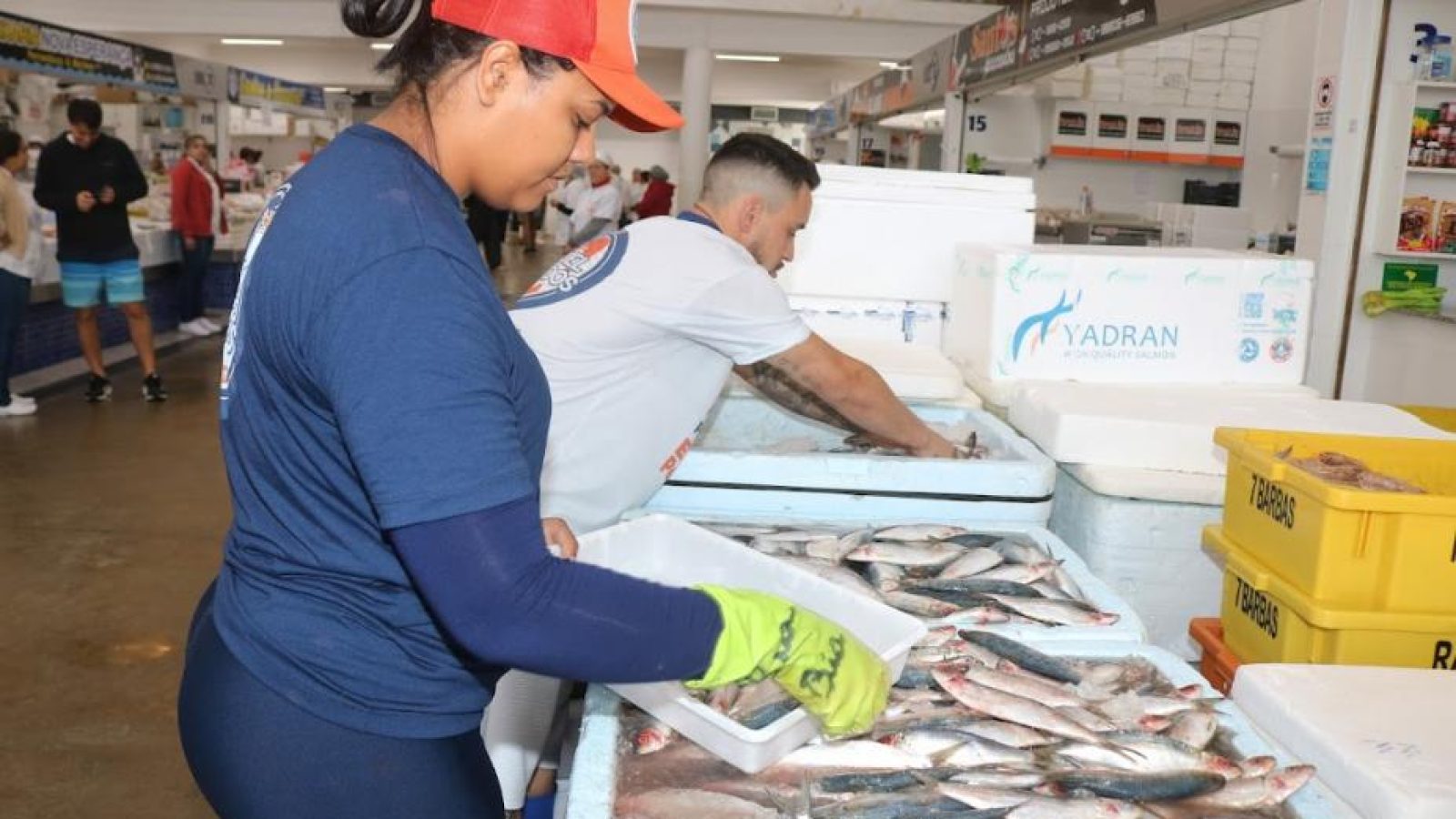 Mercado de Peixes