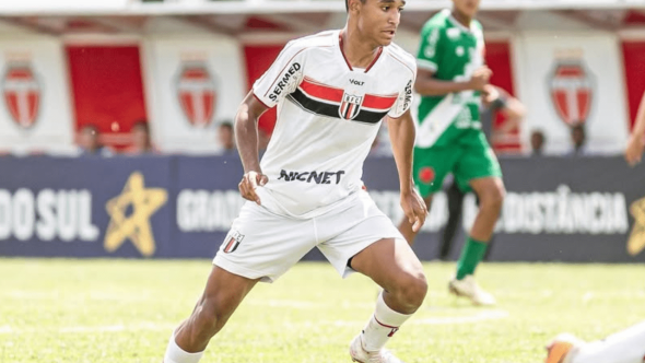 Pedro severino