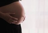 Imagem em tons suaves com gestante de mãos sobre a barriga, destacando o tema justa causa de grávida, com contexto de decisão judicial sobre afastamento prolongado por mais de 70 dias.