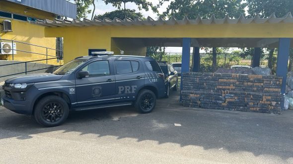 PRF apreende quase 1 tonelada de drogas (Foto: Reprodução / PRF)