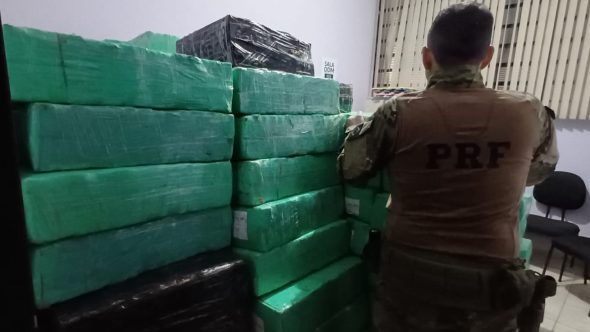 PRF apreende mais de 5 toneladas de maconha em carga de peixe (Foto: Reprodução / PRF)