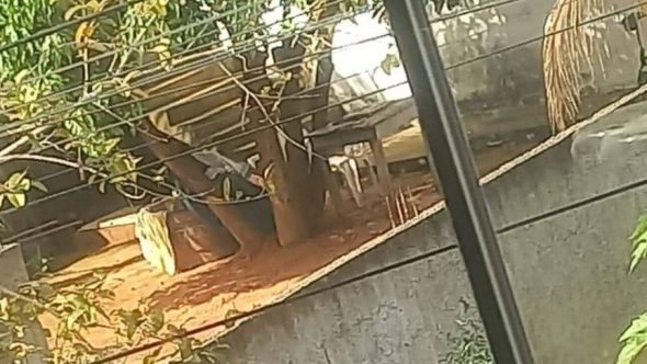 veja local onde jovem