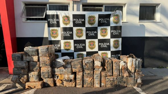 Maconha apreendida em Atibaia (Foto: Divulgação / Polícia Civil)