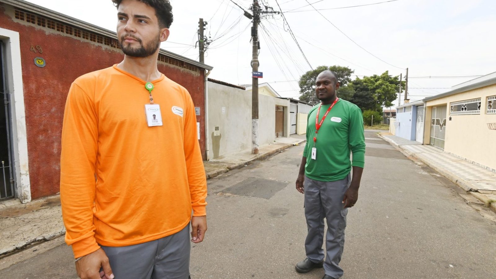 agentes da dengue
