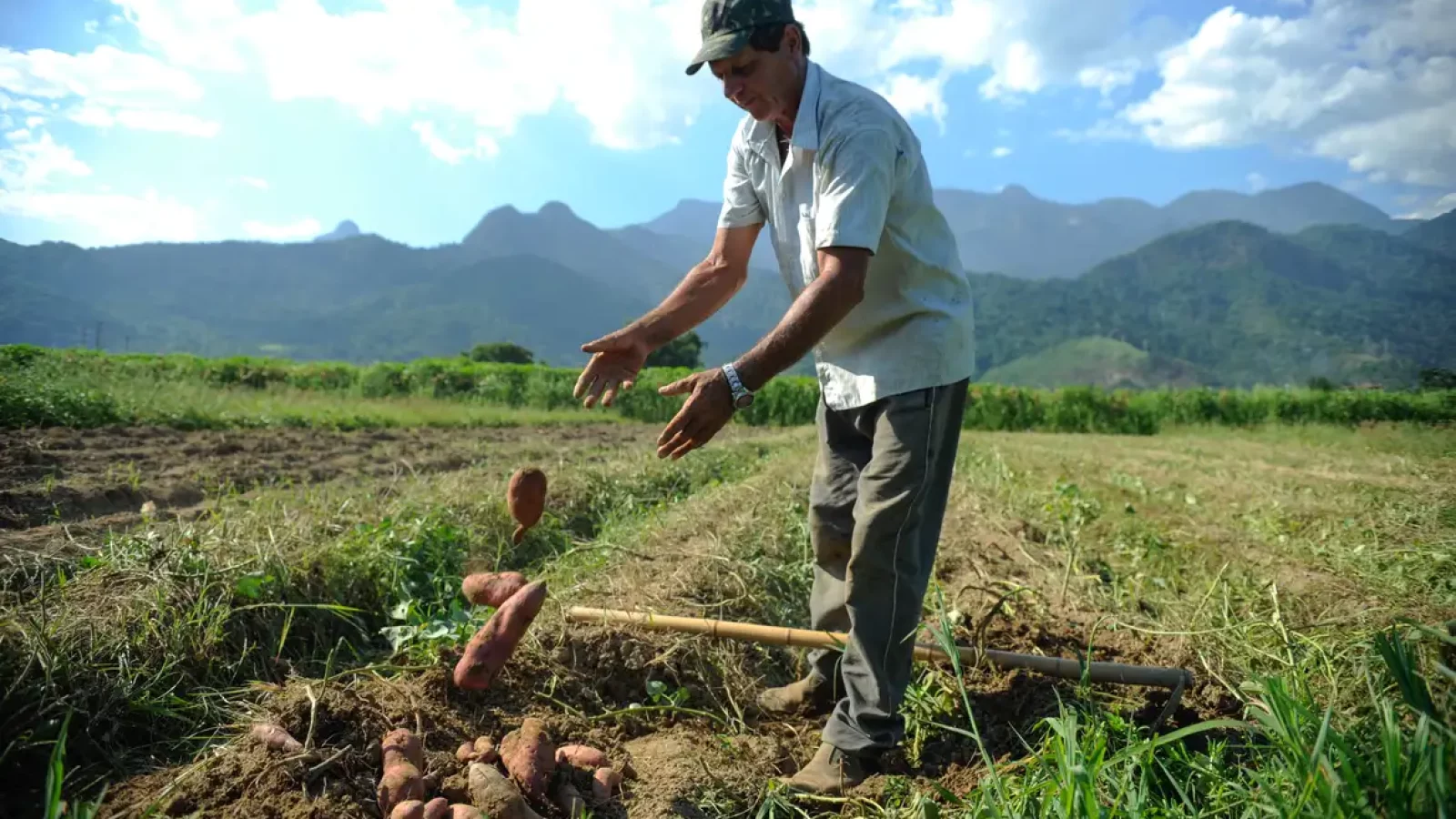 agricultura