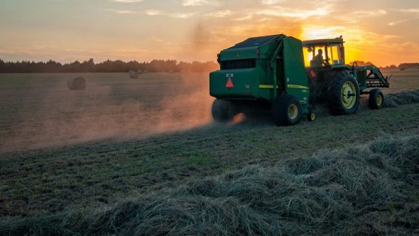 Agro Agricultura Jed Owen Unsplash