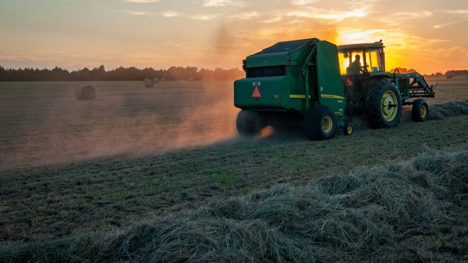 Agro Agricultura Jed Owen Unsplash