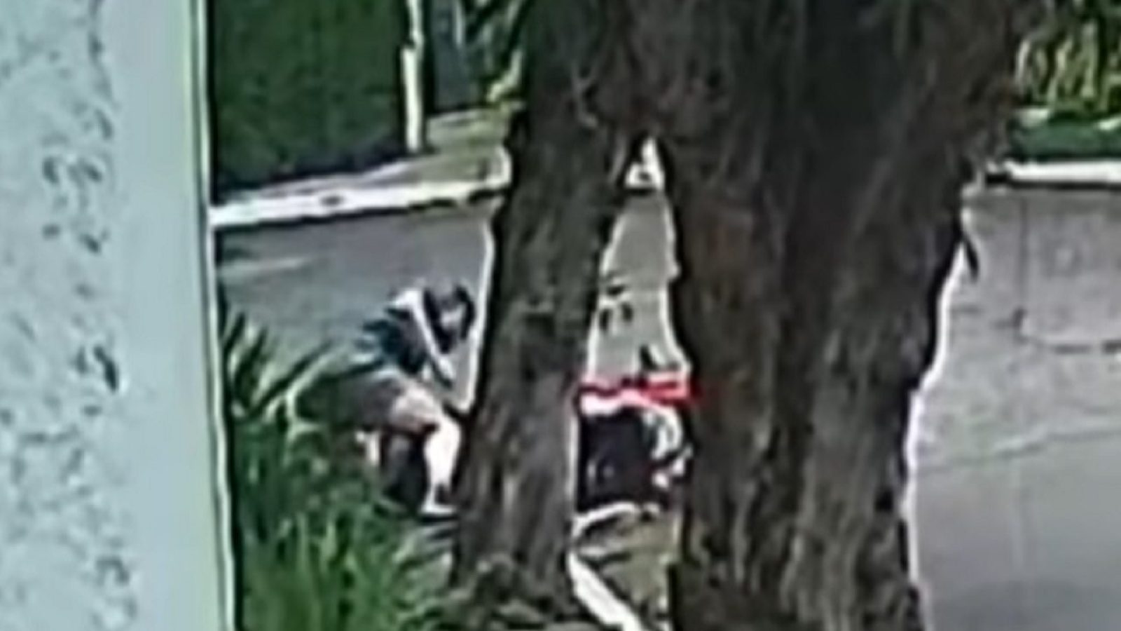 Assaltante leva cacete ao tentar assaltar casal em SP