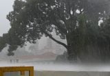Chuva forte e ventania em São Paulo, com árvores balançando e poeira de água no ar; após as rajadas, a cidade segue em alerta para previsão do tempo nesta quinta-feira (30).