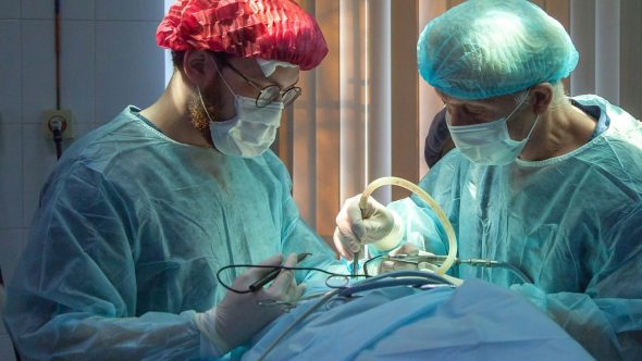 Cirurgia Operação Bariátrica olga guryanova unsplash