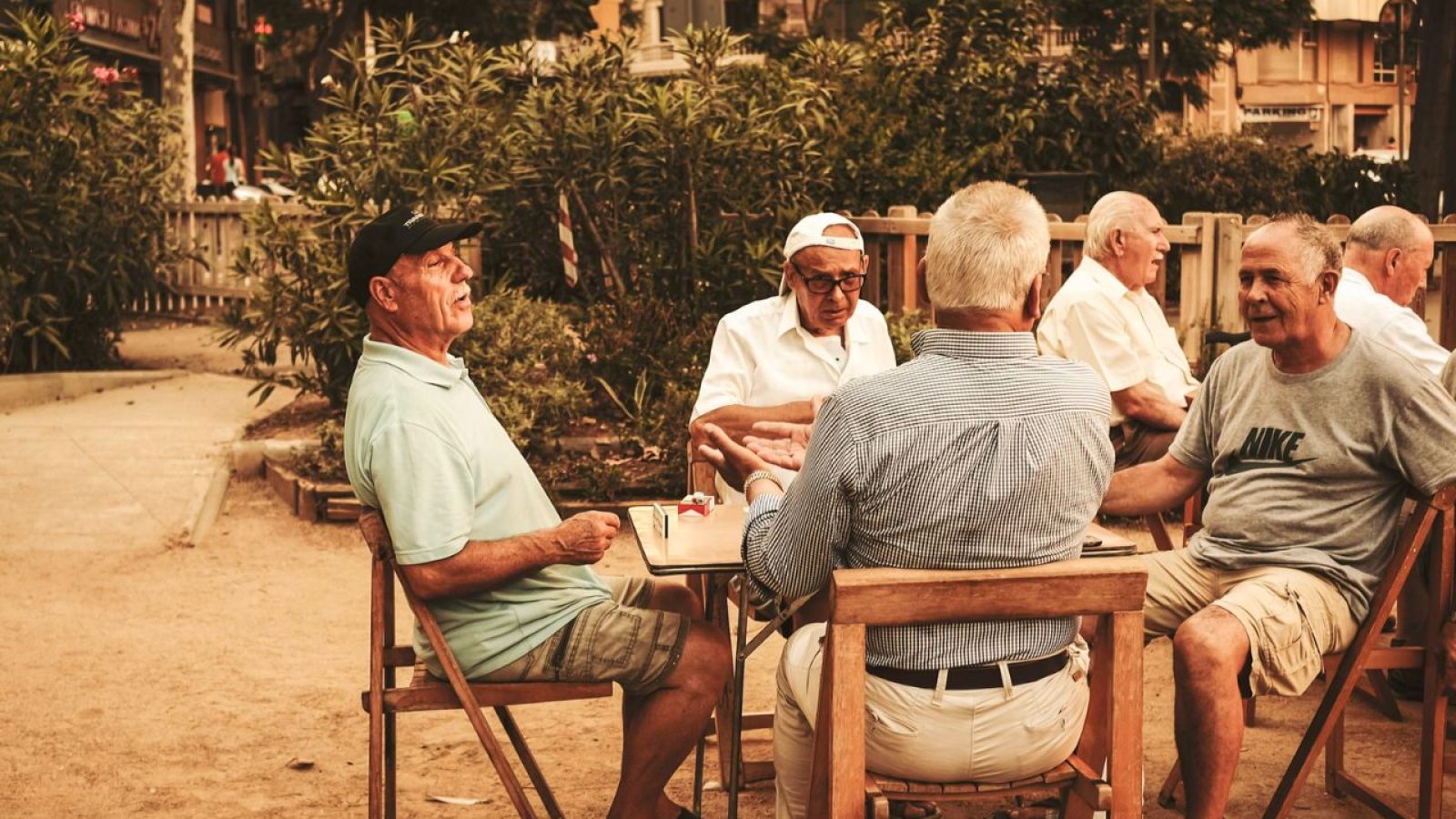 conferência pessoa idosa são vicente