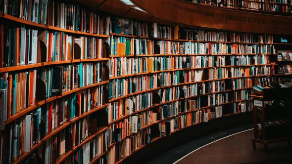 biblioteca bibliotecário dia Emil Widlund Unsplash